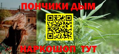 шишки Кинель