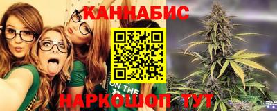 дурь Кингисепп