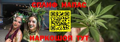 дурь Кингисепп