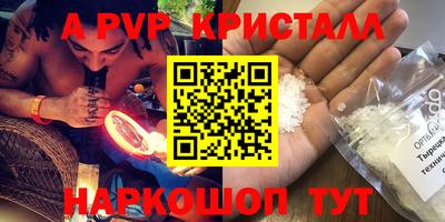 дурь Кингисепп