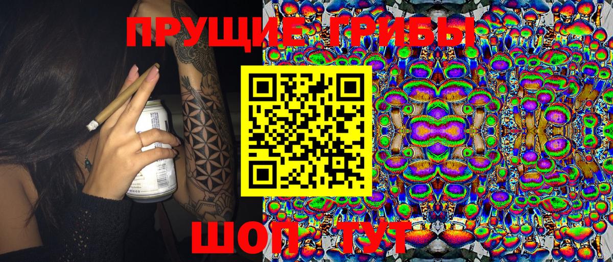 Бирск  Галлюциногенные грибы Psilocybe  Вход с VPN 